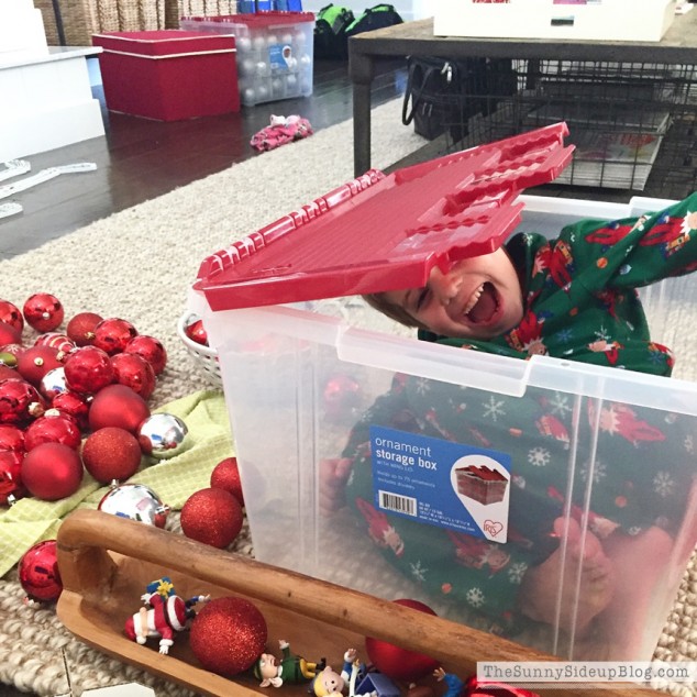 organized attic organized holiday decor_0002