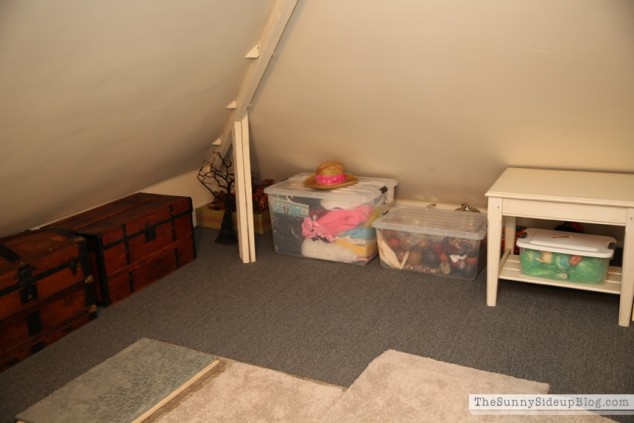 organized attic organized holiday decor_0009