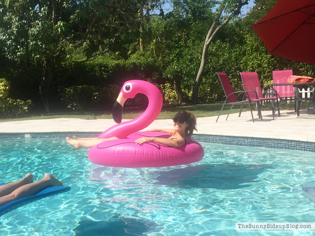 flamingo-floaty