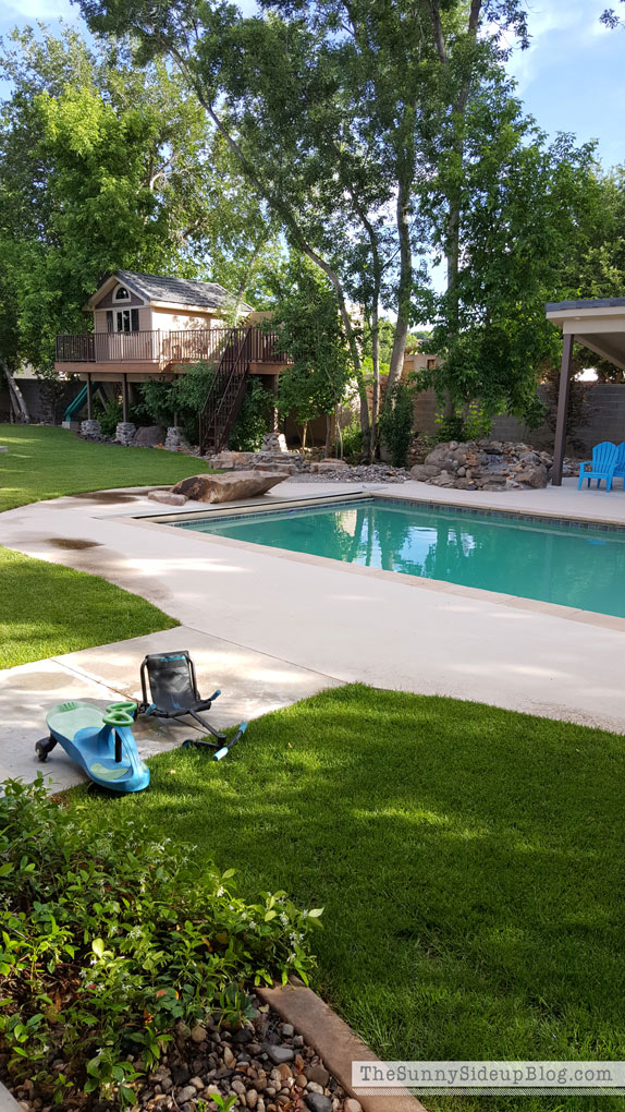 treehouse-by-pool