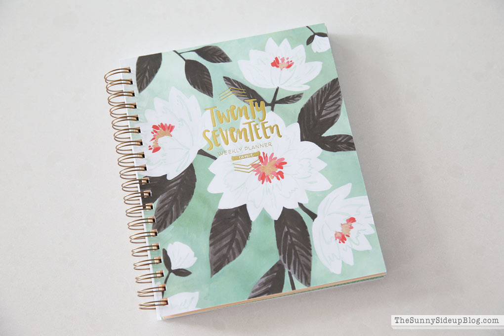 1canoe2-mint-planner