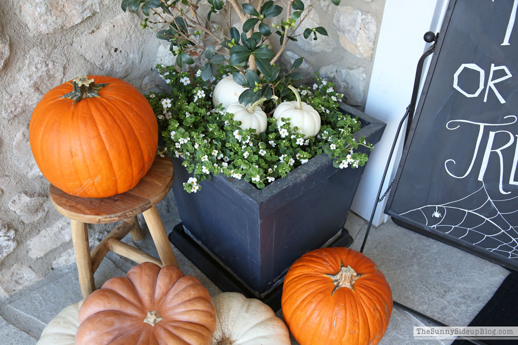 Halloween Porch Decor (Sunny Side Up)