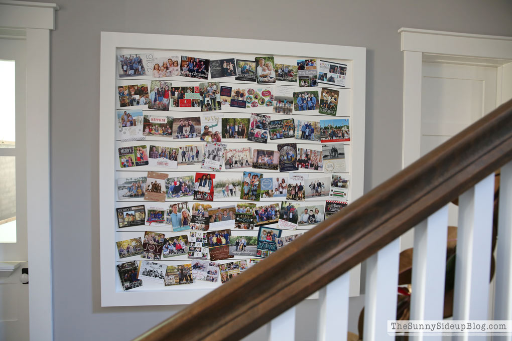 Shiplap Display Wall (Sunny Side Up)