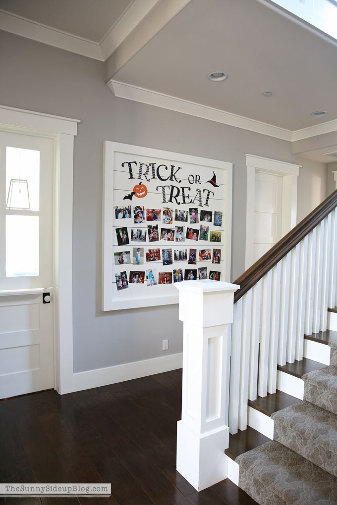 Shiplap Display Wall (Sunny Side Up)