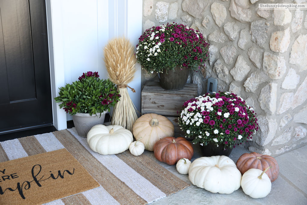 Purple and White Fall Porch (Sunny Side Up)