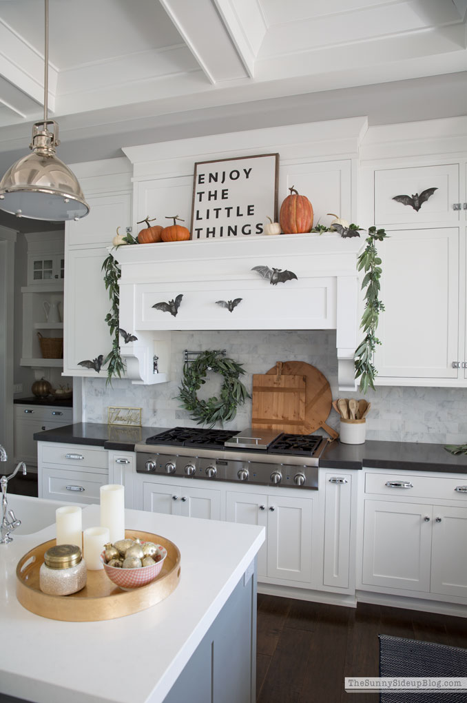 Shiplap Display Wall (Sunny Side Up)