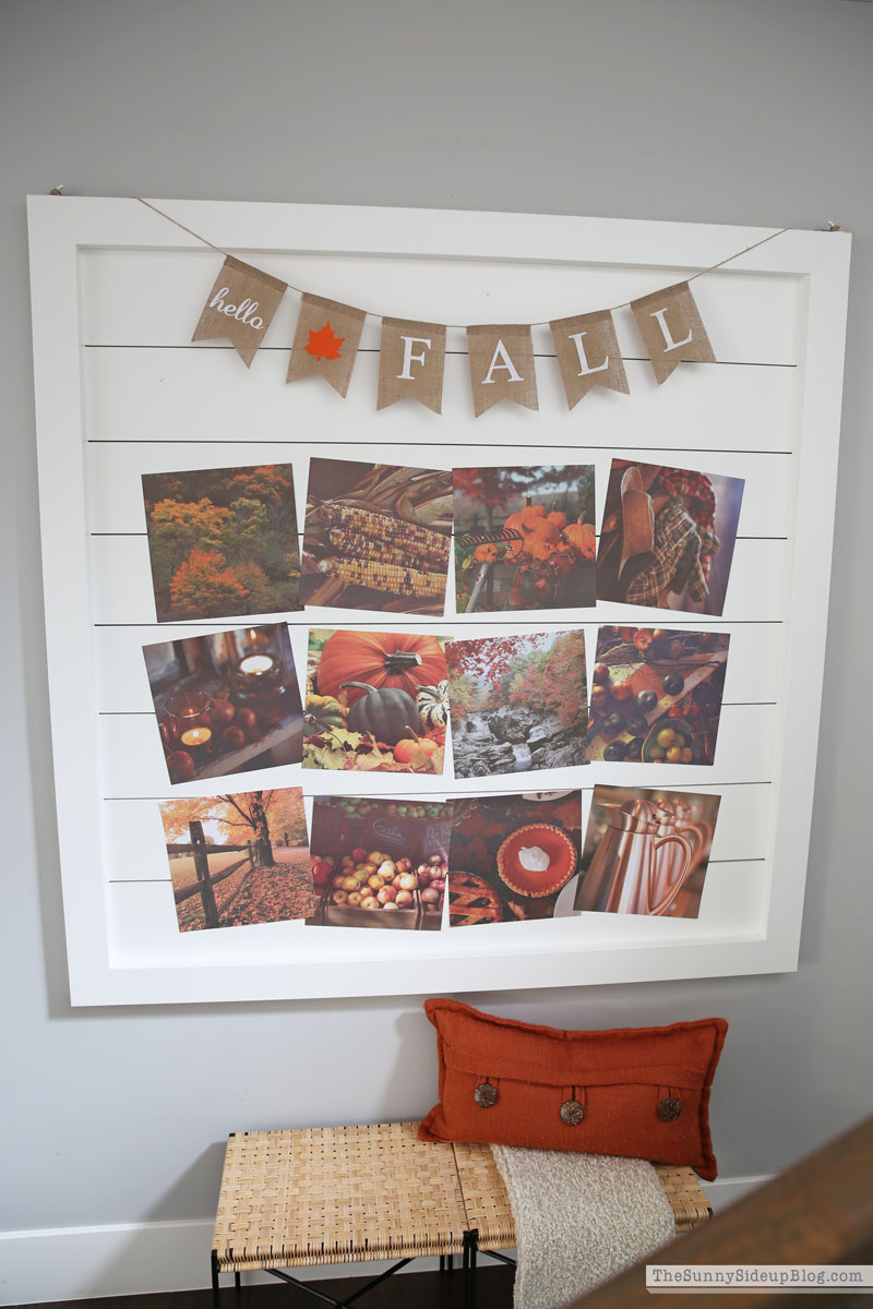 Fall decor (Sunny Side Up)