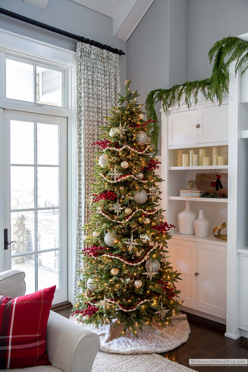 Christmas Family Room (Sunny Side Up)