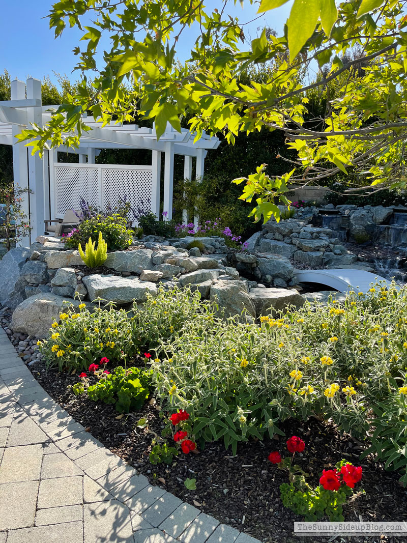 Spring porch (Sunny Side Up)