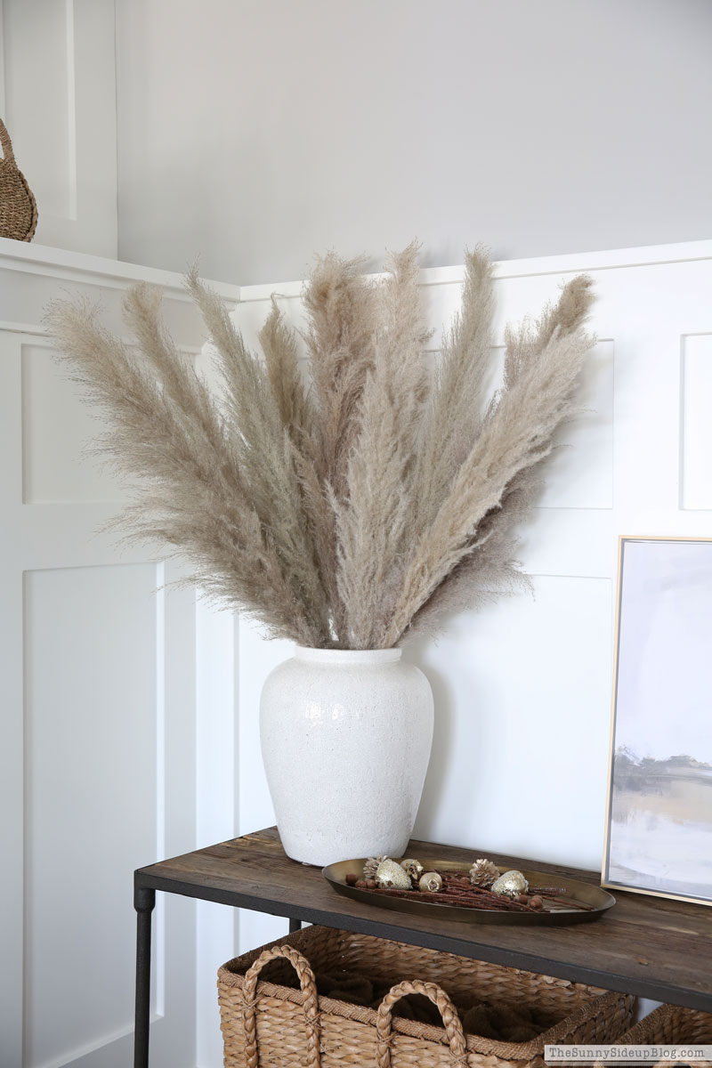 Pampas Grass, Fall Decor (Sunny Side Up)