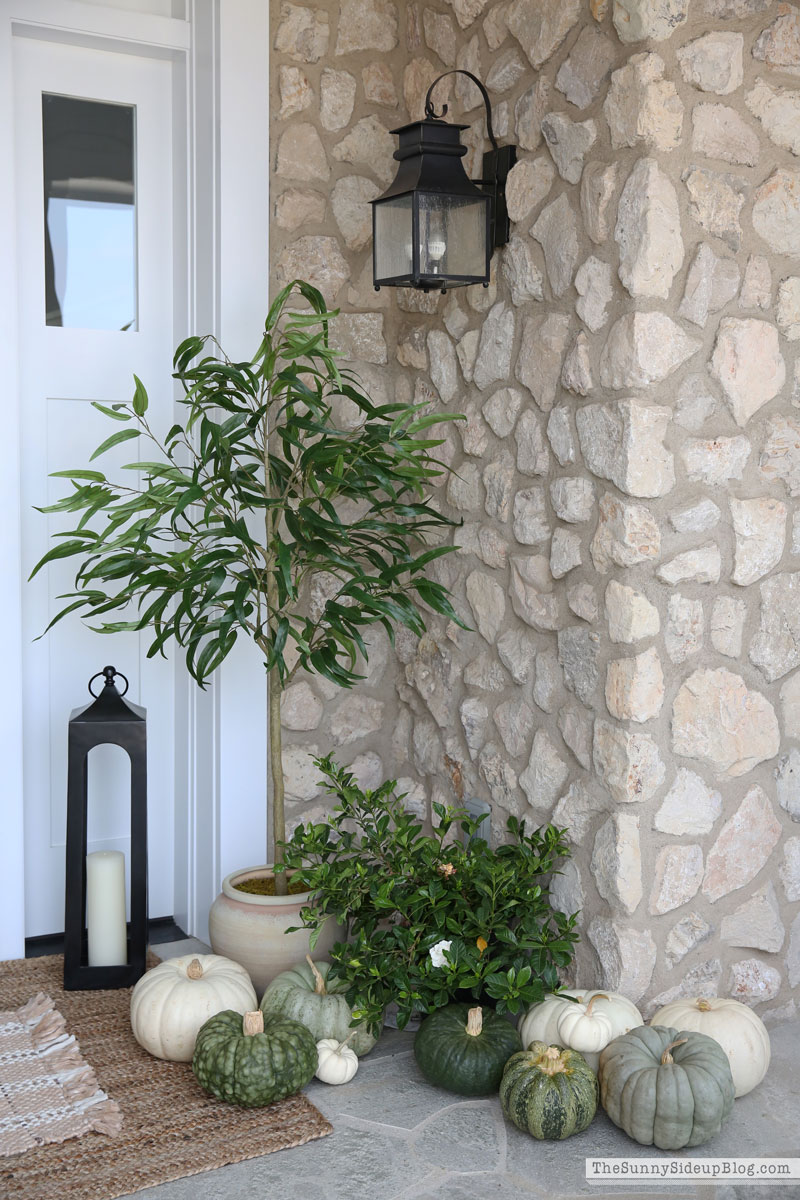 Green and White Fall Porch (Sunny Side Up)