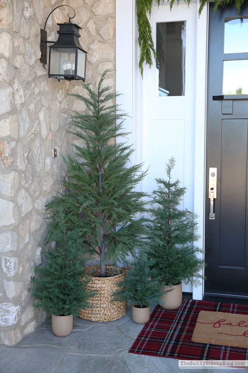 Christmas Front Porch (Sunny Side Up)