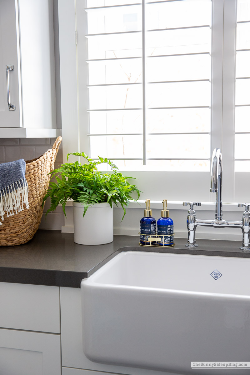 Organized Laundry Room (Sunny Side Up)