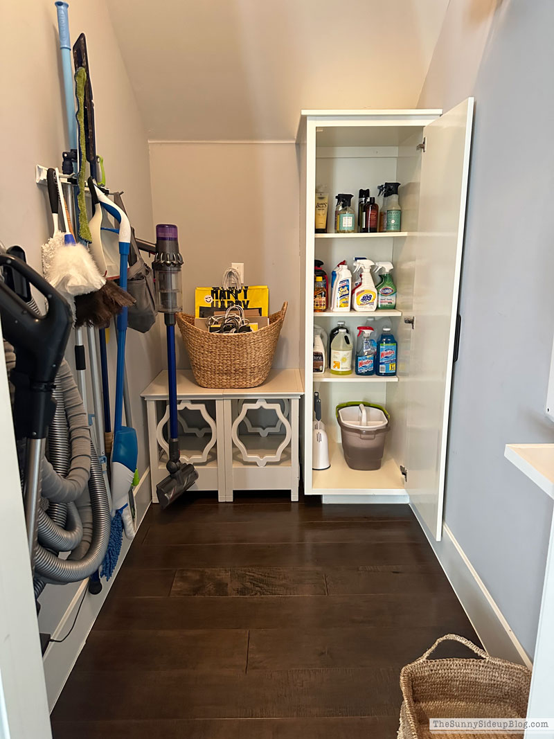 Organized Cleaning Closet (Sunny Side Up)