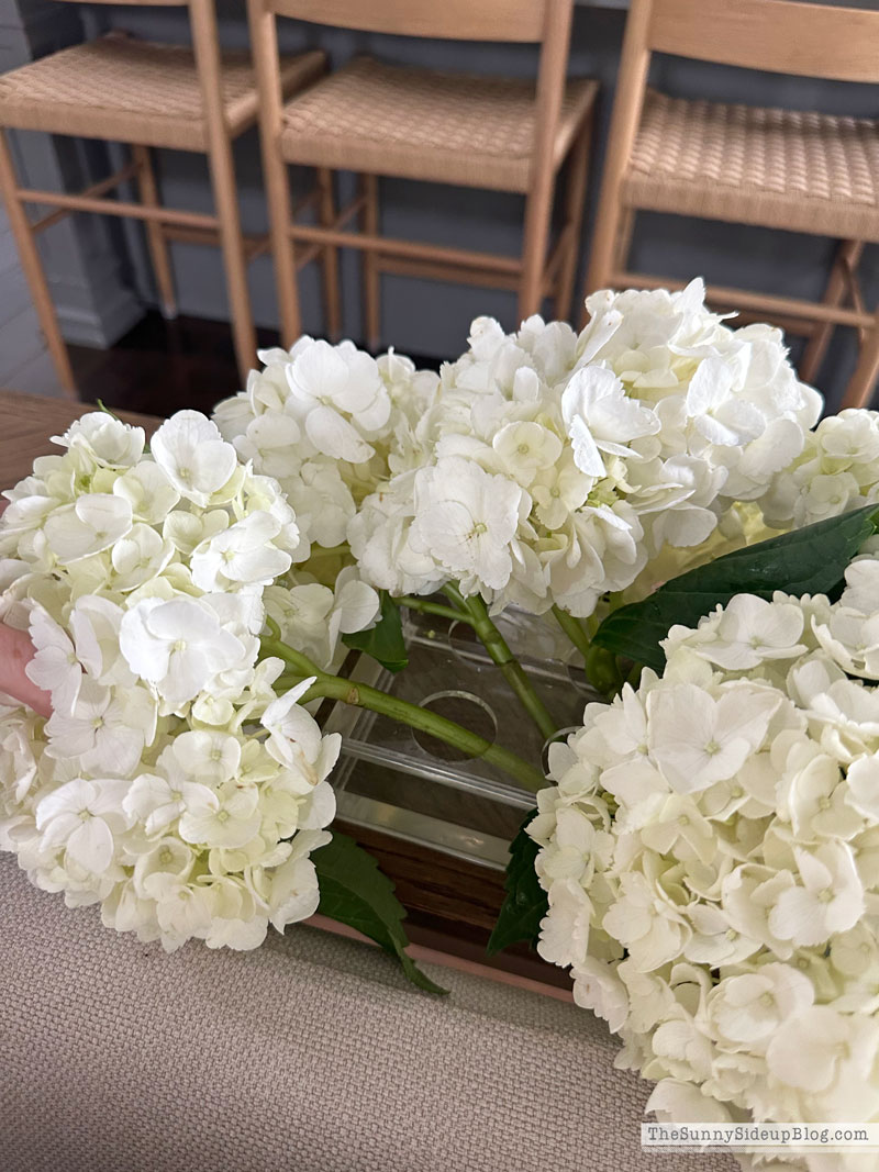 Hydrangea Centerpiece (Sunny Side Up)