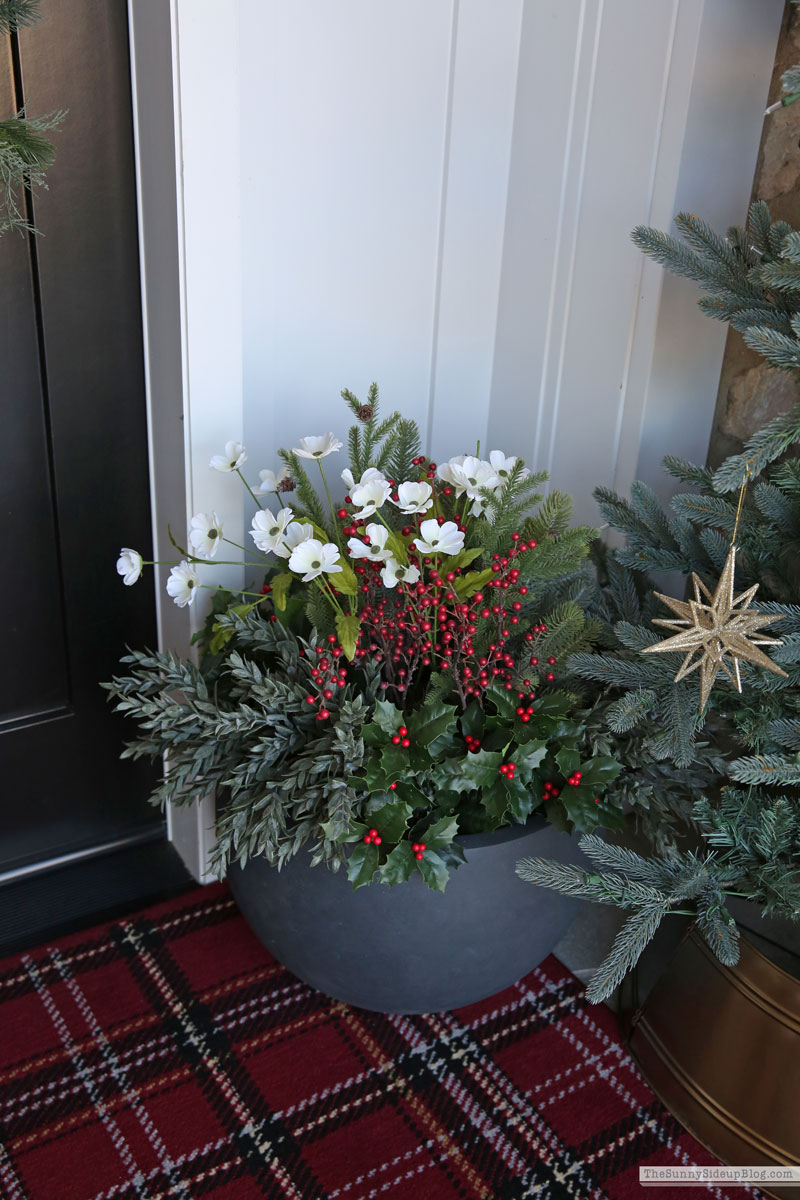 Red and Gold Holiday Porch (Sunny Side Up)