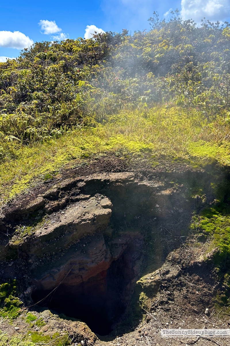 Hawaii big island tips (Sunny Side Up)