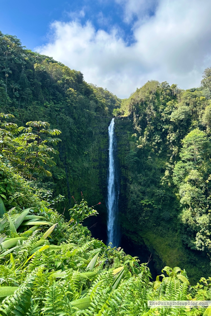 Hawaii big island tips (Sunny Side Up)