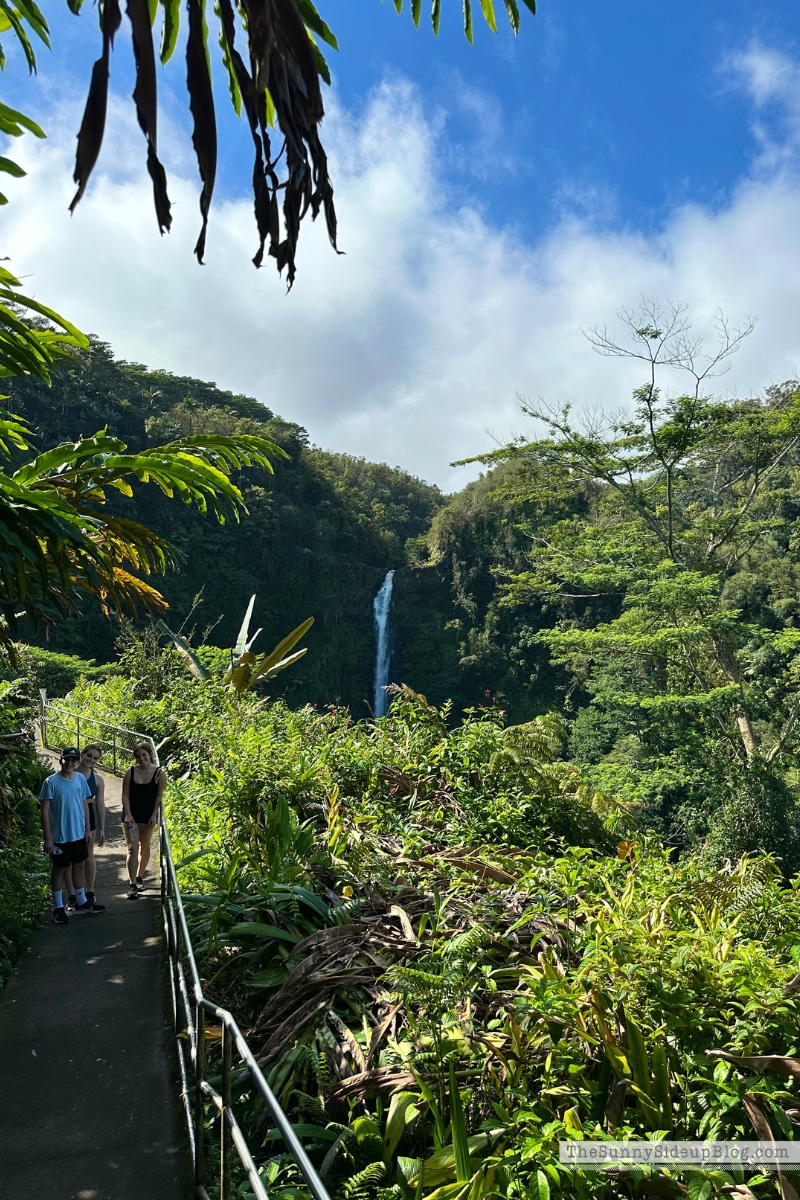 Hawaii big island tips (Sunny Side Up)