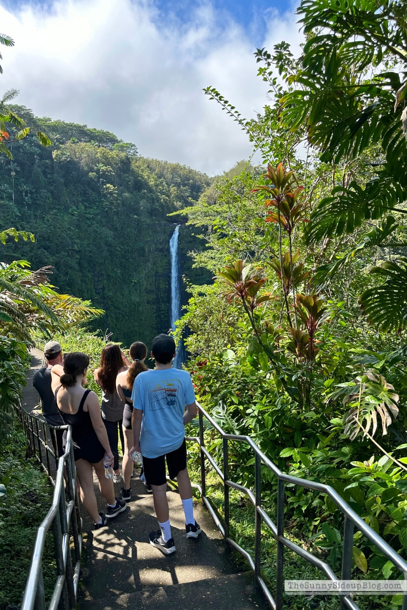 Hawaii big island tips (Sunny Side Up)