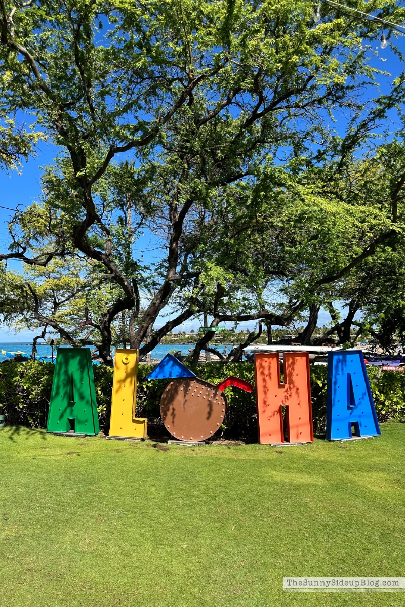 Hawaii big island tips (Sunny Side Up)