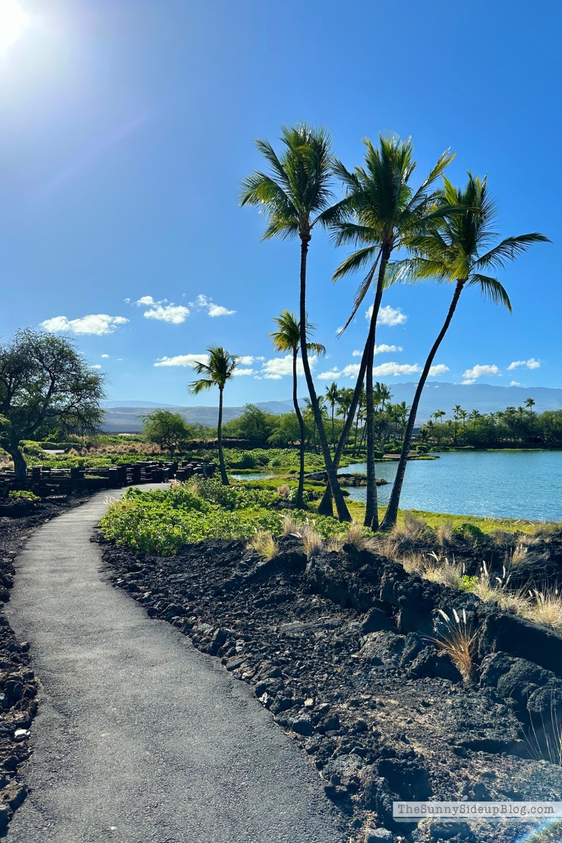 Hawaii big island tips (Sunny Side Up)