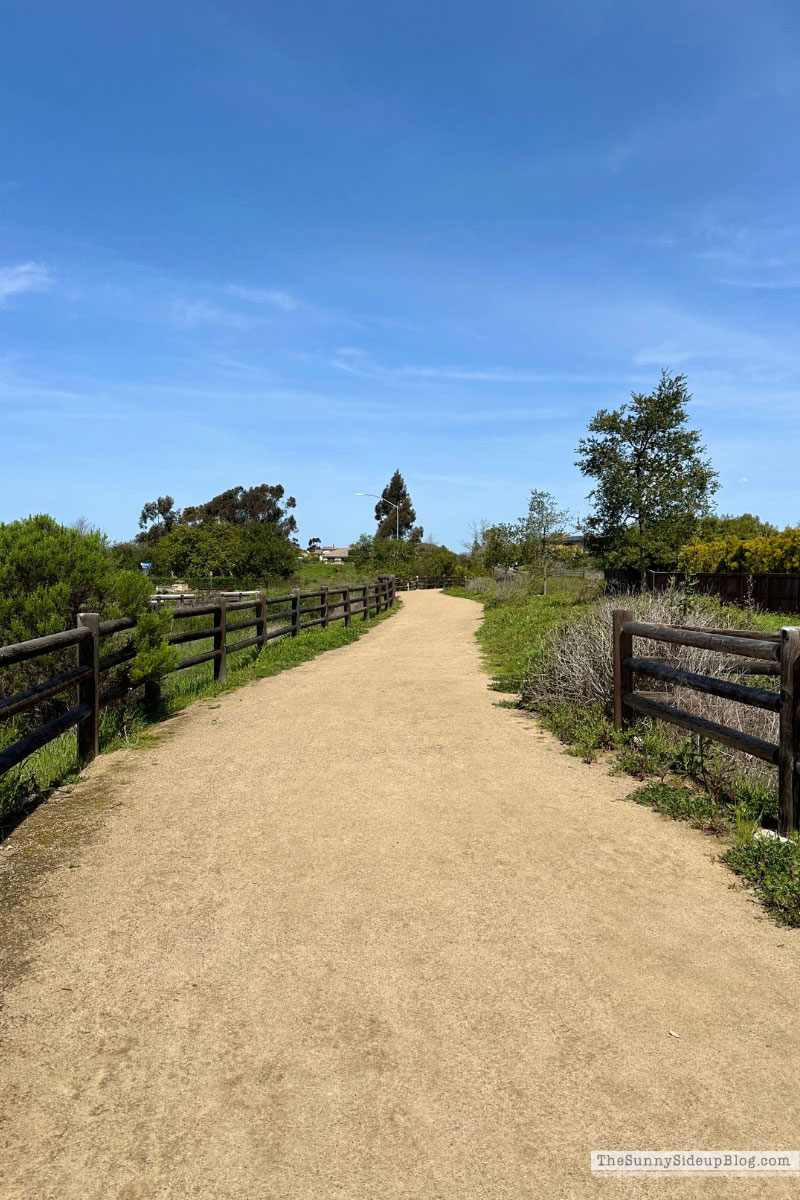 walking trail (Sunny Side Up)