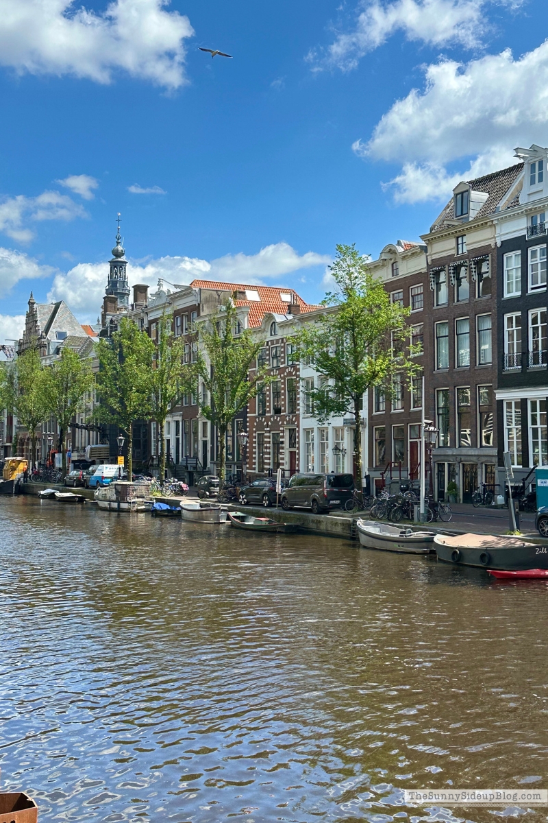 Amsterdam (Sunny Side Up)