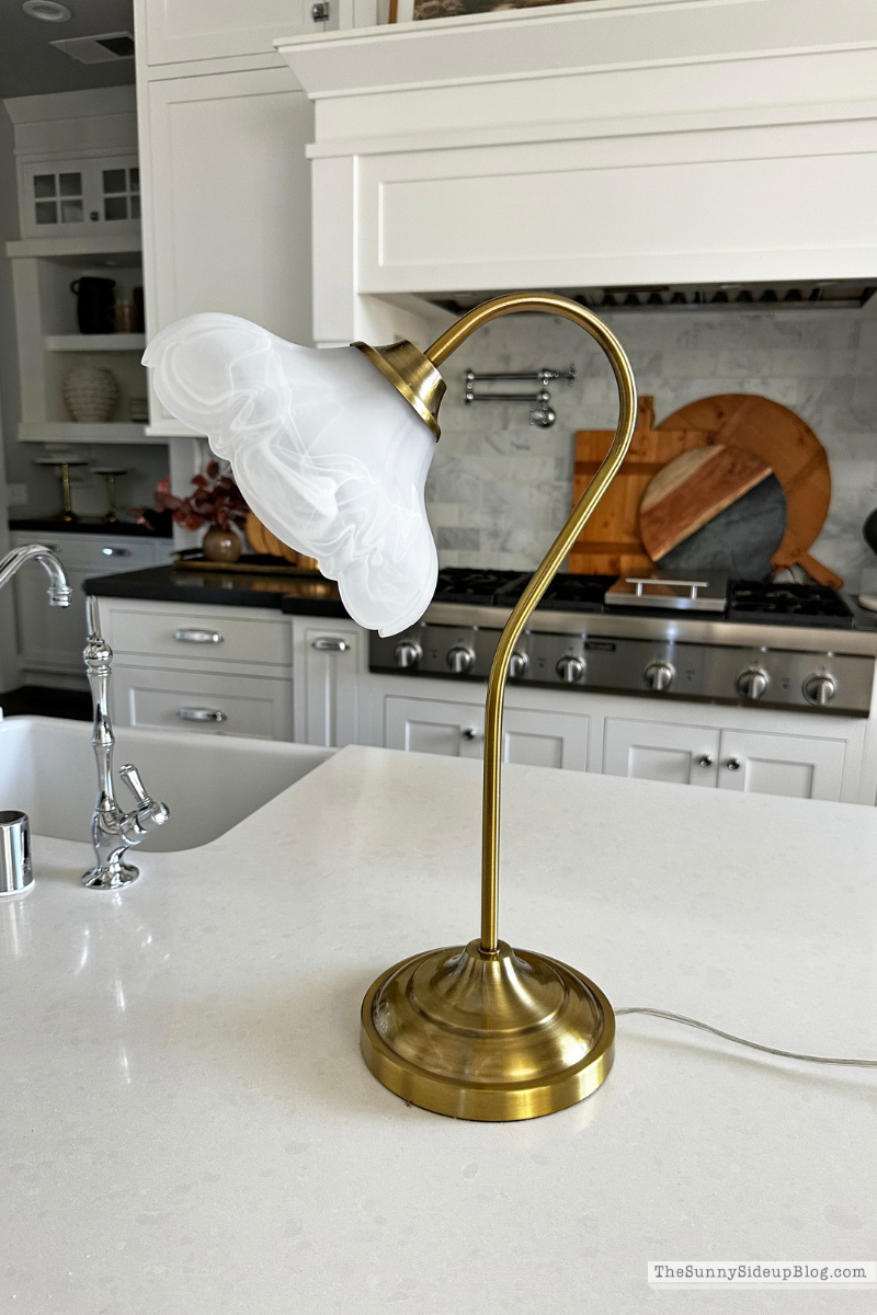 Cute Brass Lamp (Sunny Side Up)