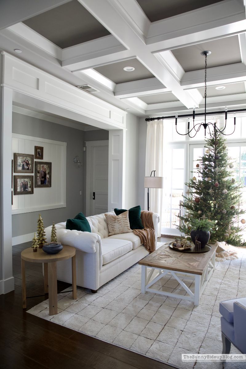 2024 Christmas Home Tour (Sunny Side Up)