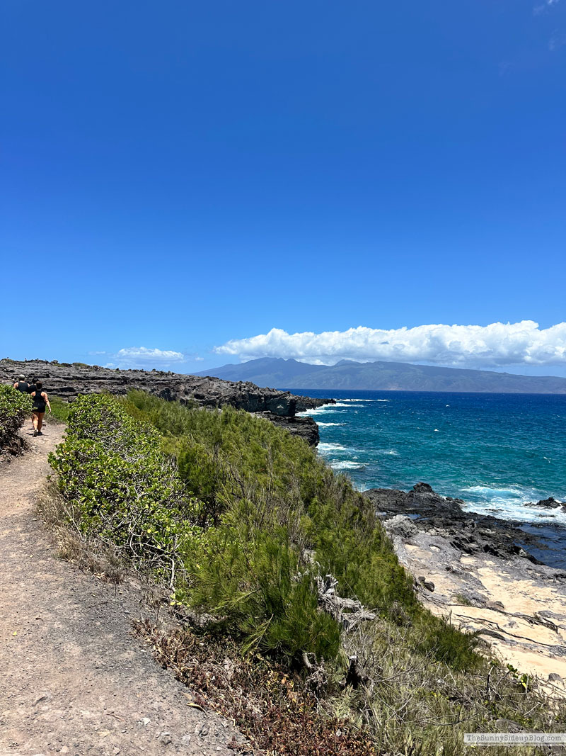 Maui 2025 (Sunny Side Up)