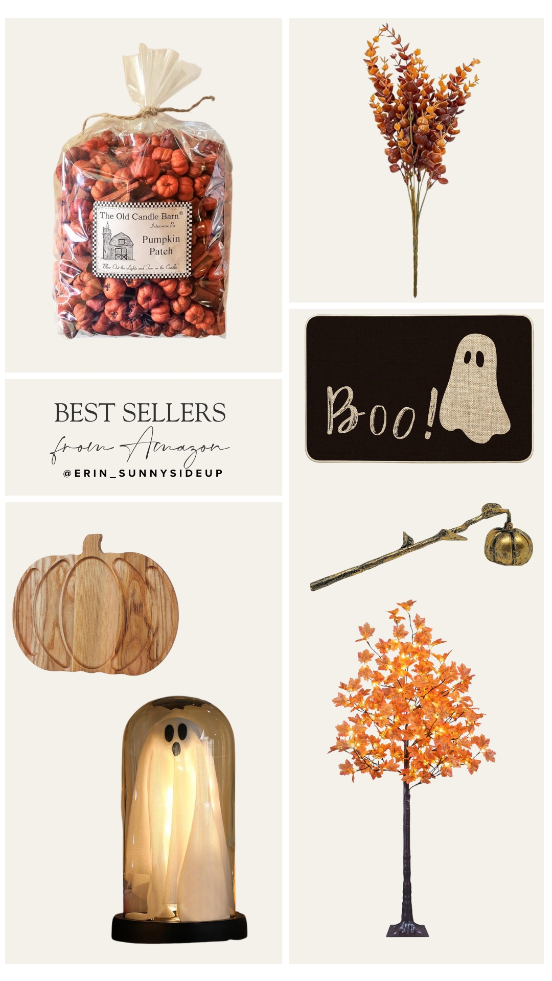 Sunday Edit (Sunny Side Up Blog)