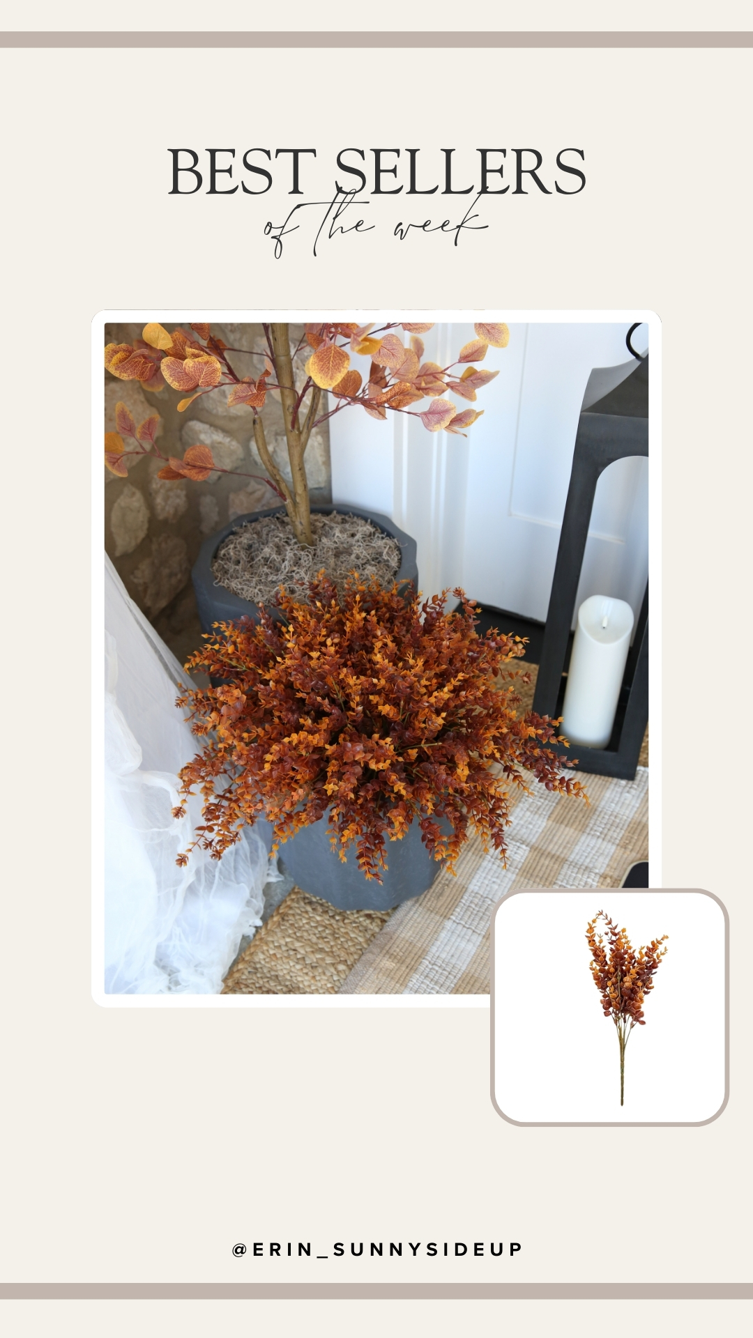 Sunday Edit (Sunny Side Up Blog)