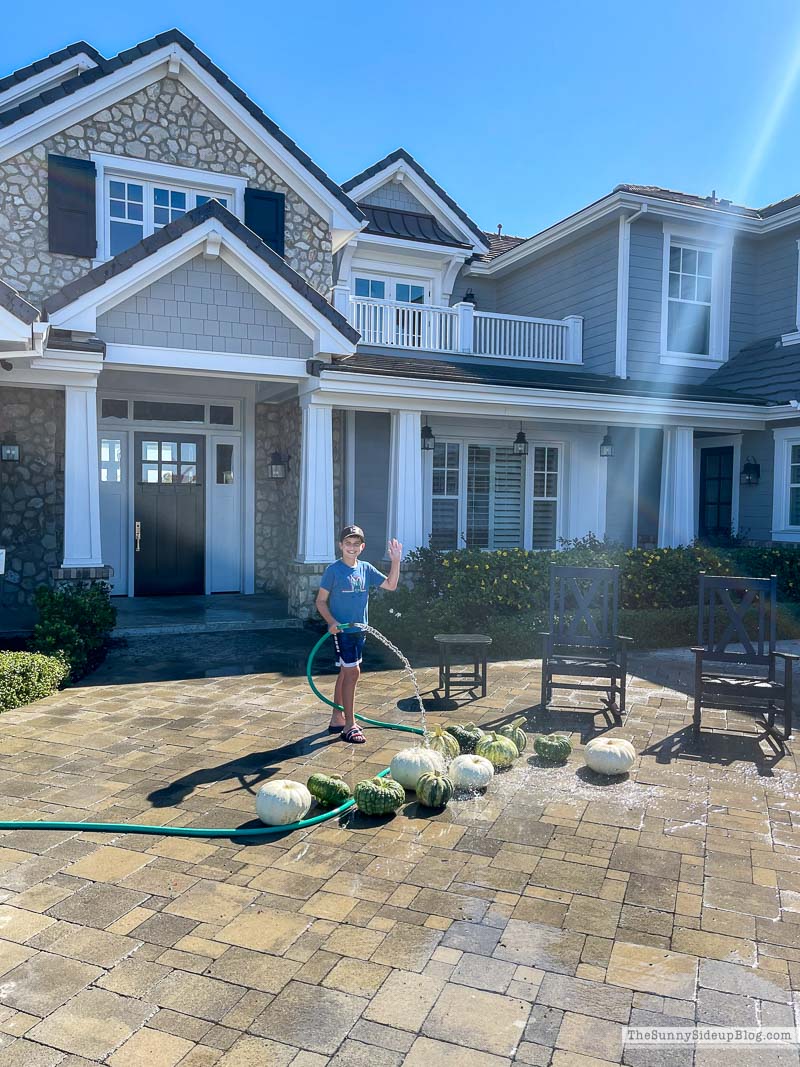 Pumpkin Washing (Sunny Side Up)