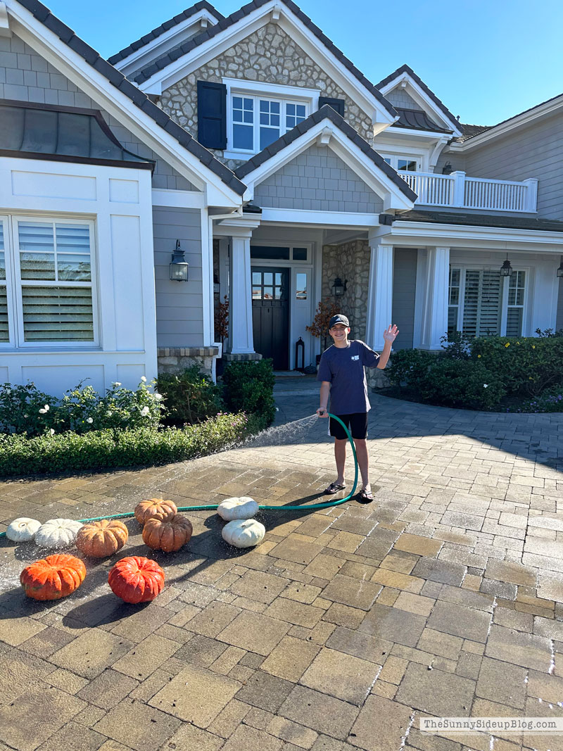 Pumpkin Washing (Sunny Side Up)