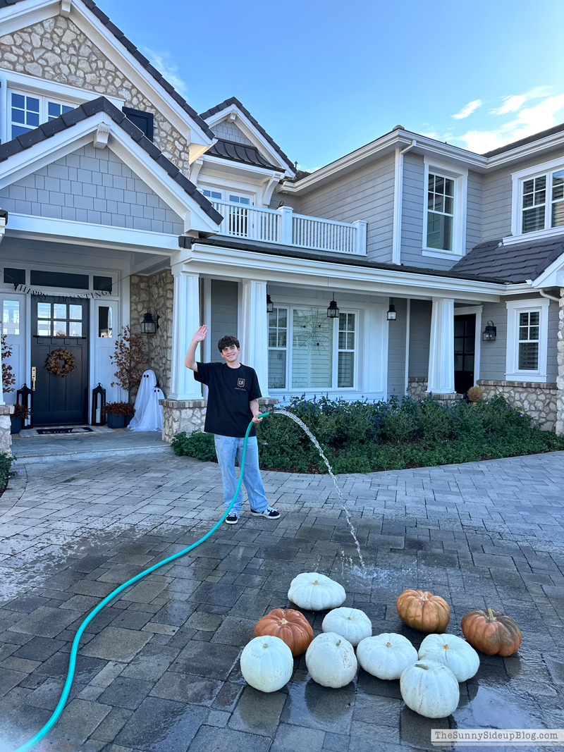 Pumpkin Washing (Sunny Side Up)