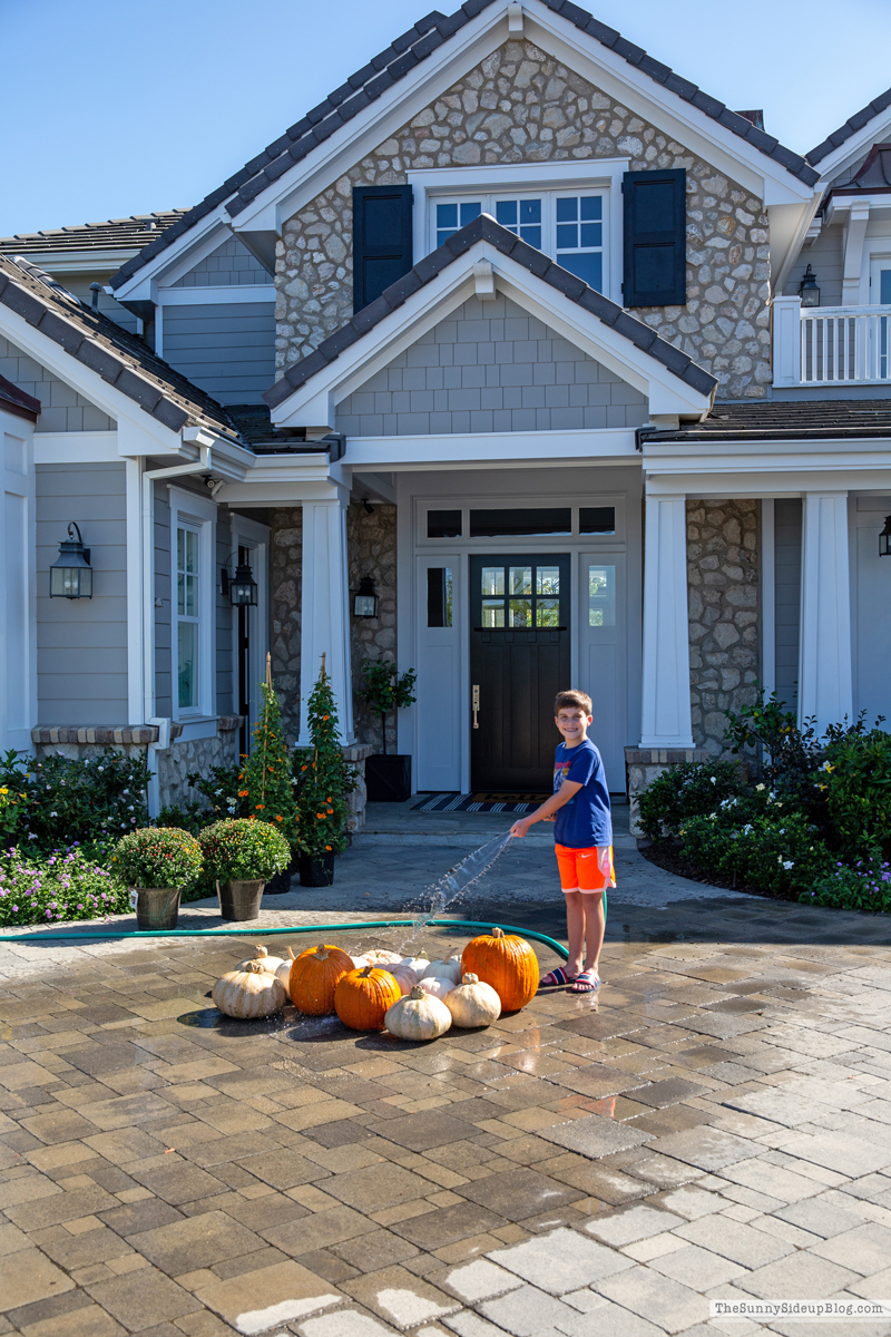 Pumpkin Washing (Sunny Side Up)