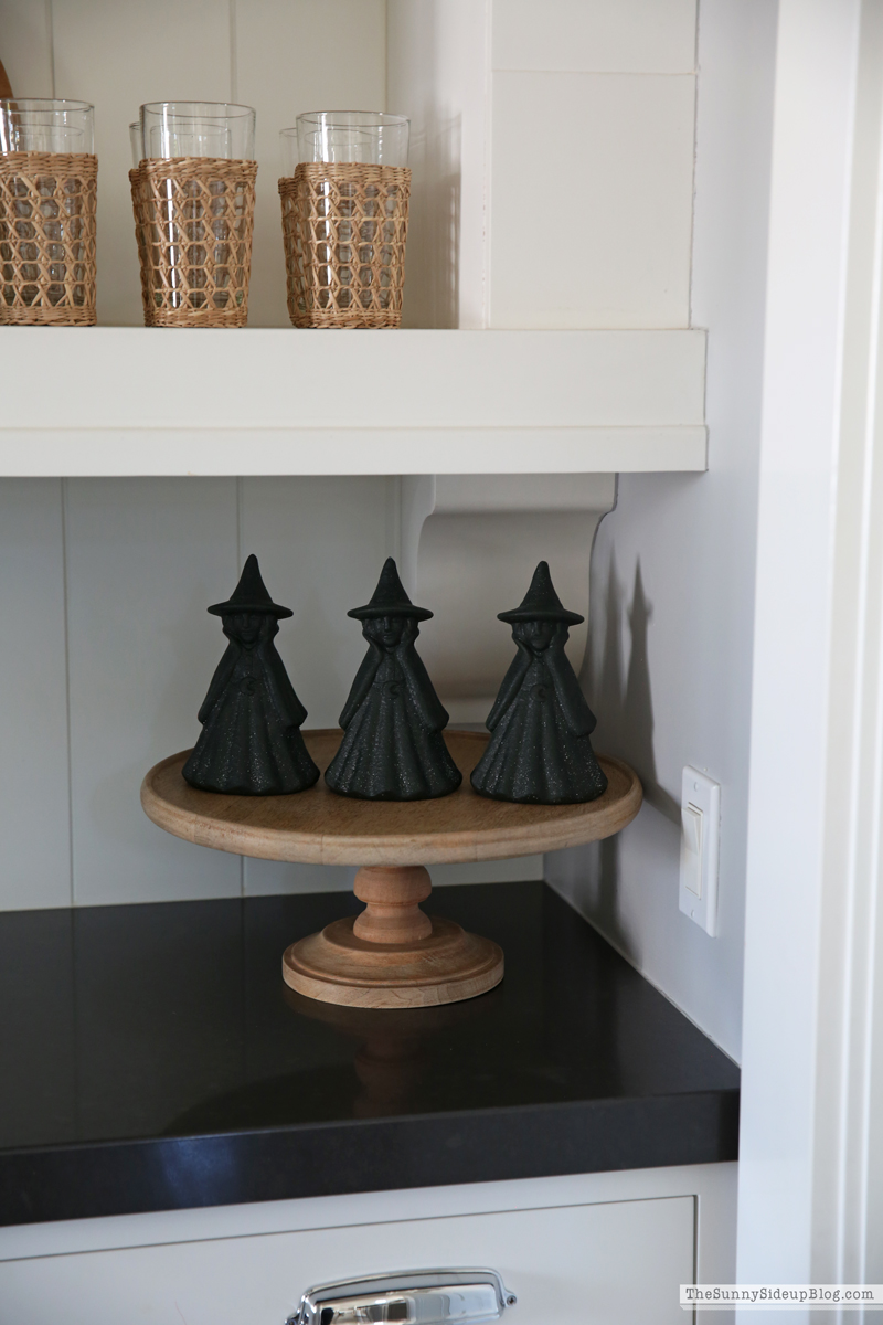 Fall Shelf (Sunny Side Up)