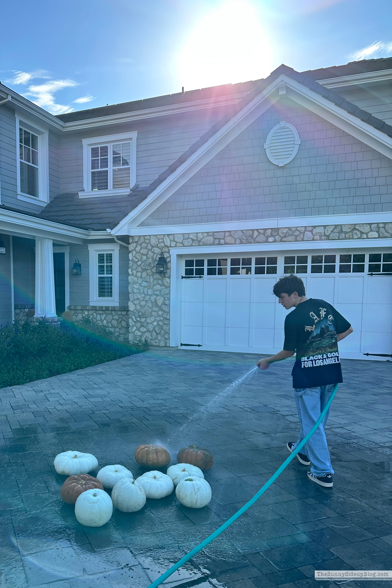 Pumpkin Washing (Sunny Side Up)