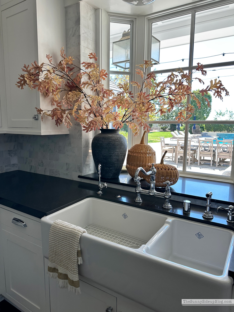 Fall/Halloween Favorites (Sunny Side Up)