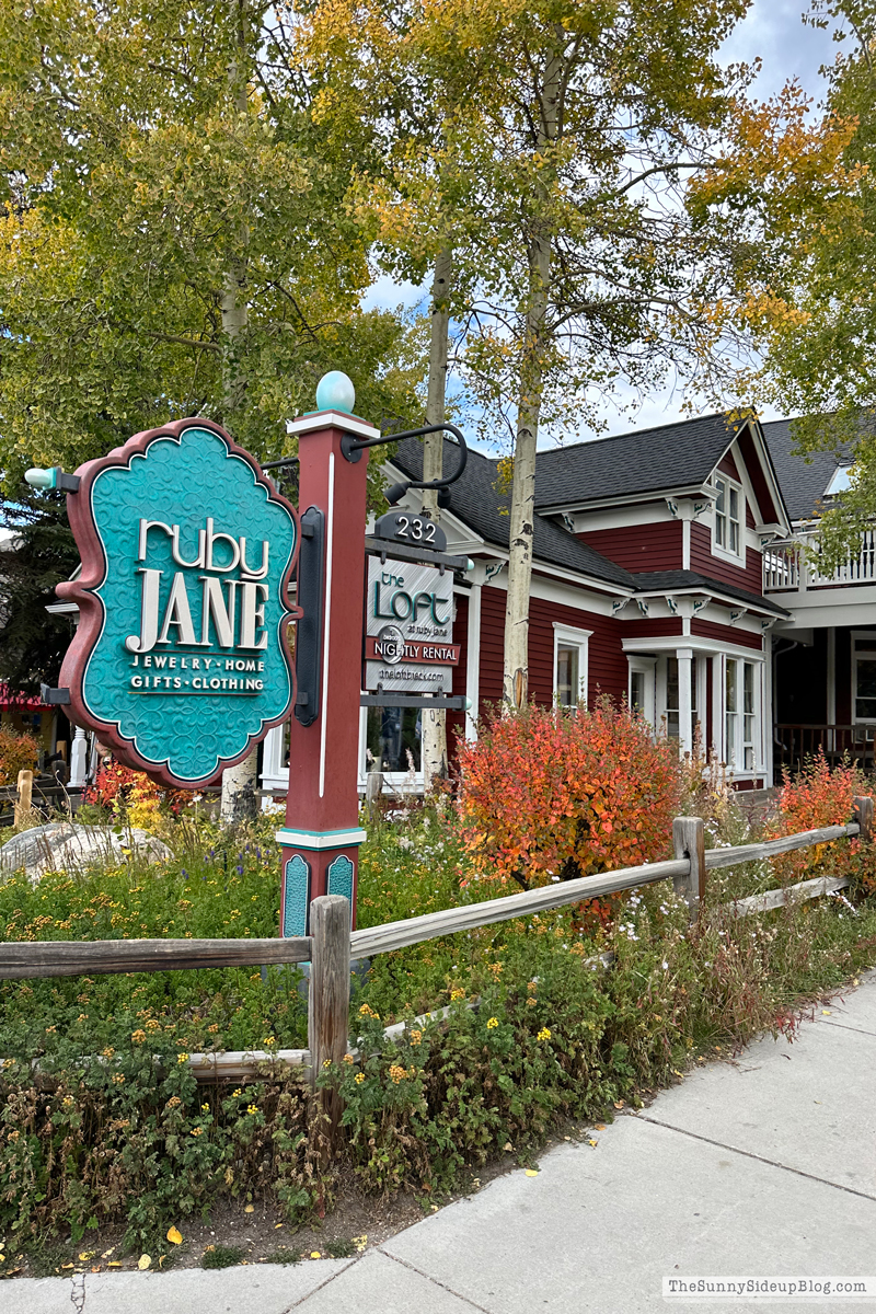 Fall trip and Walmart Christmas (Sunny Side Up)