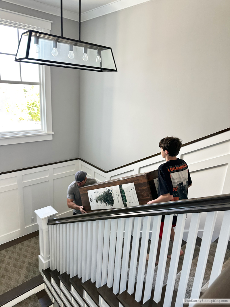 Christmas Inspo (Sunny Side Up)