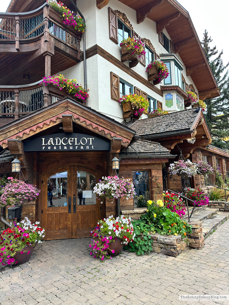 Fall trip and Walmart Christmas (Sunny Side Up)