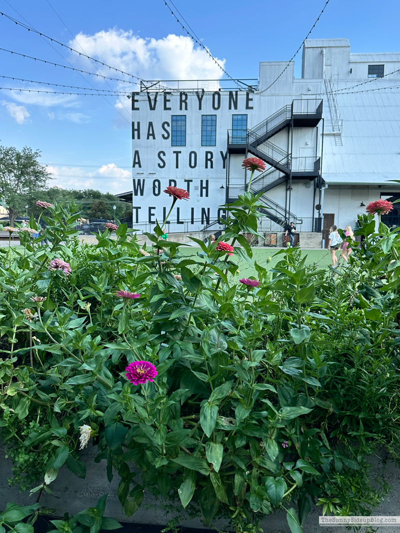 Magnolia (Sunny Side Up)