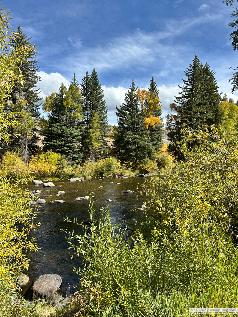 Fall trip and Walmart Christmas (Sunny Side Up)
