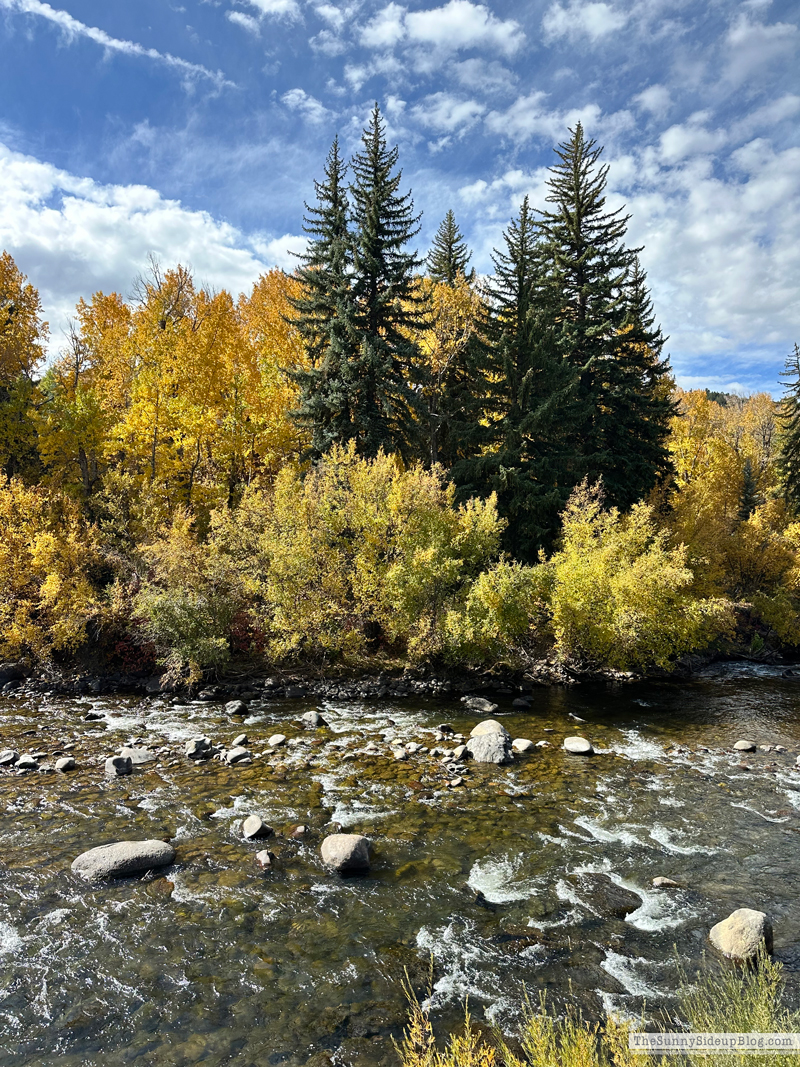 Fall trip and Walmart Christmas (Sunny Side Up)