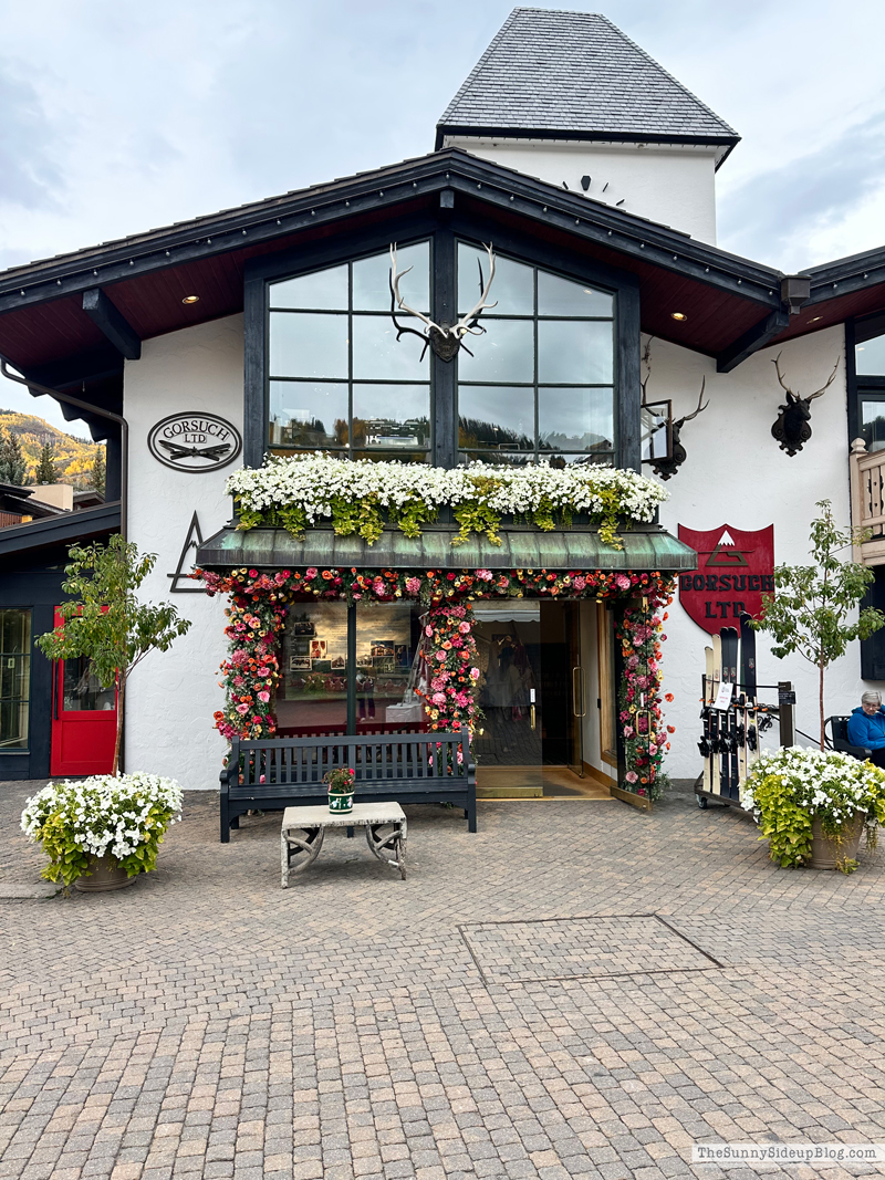 Fall trip and Walmart Christmas (Sunny Side Up)