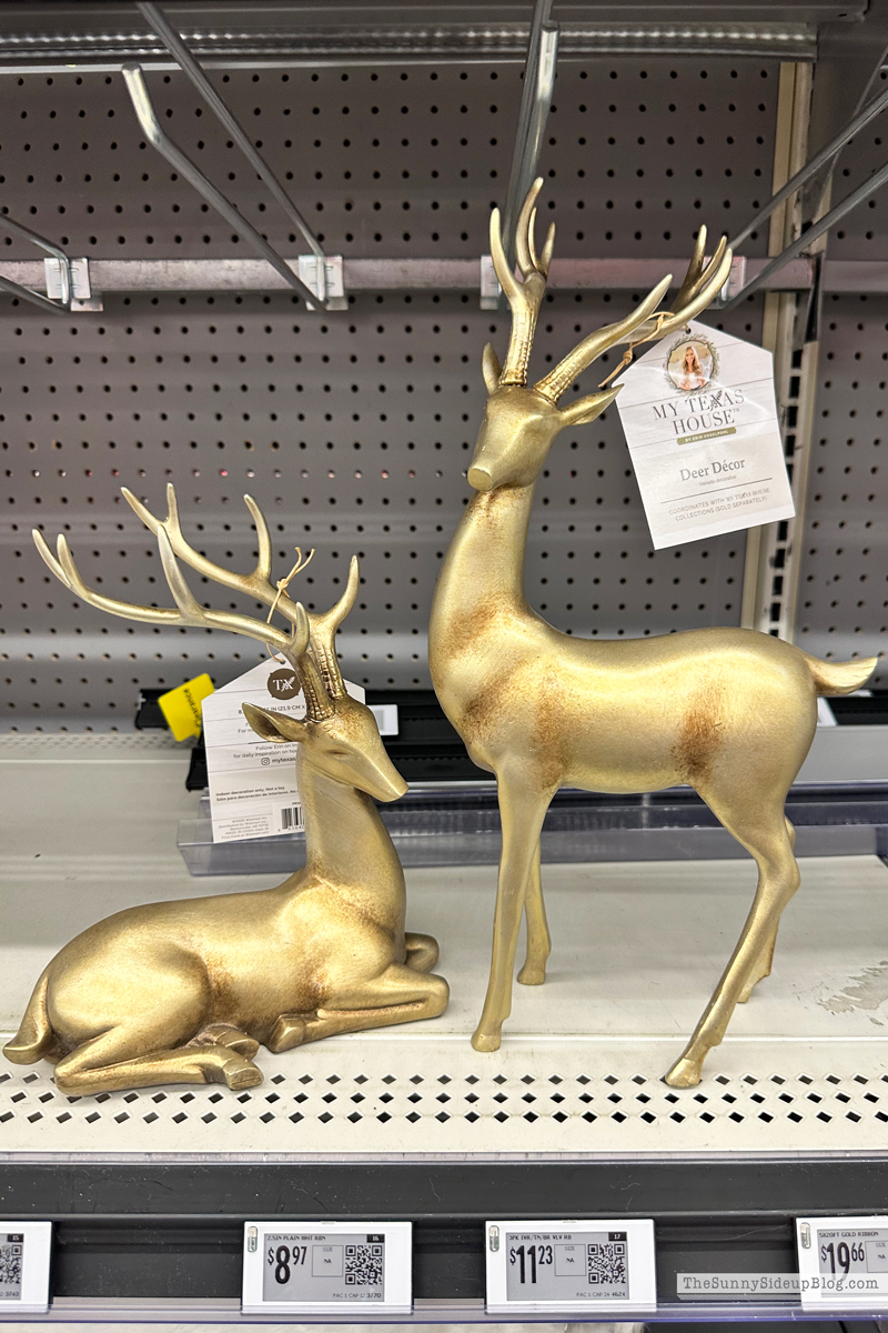 Fall trip and Walmart Christmas (Sunny Side Up)