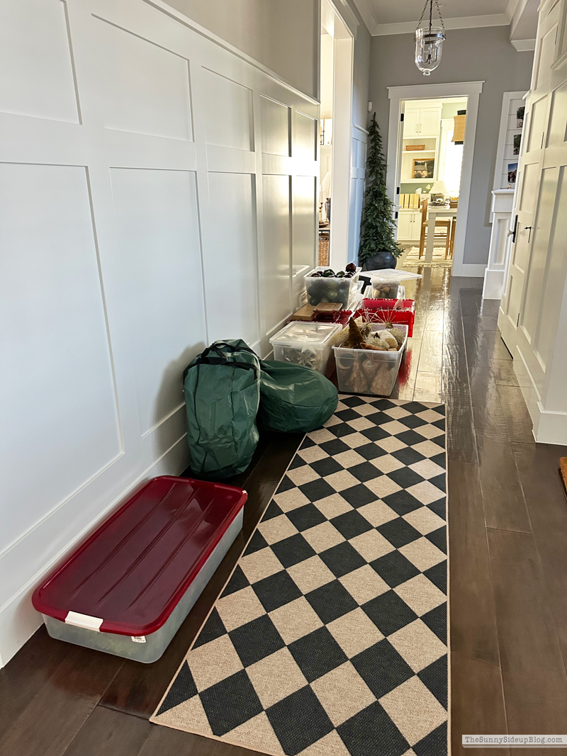 Saturday 6 (Sunny Side Up)