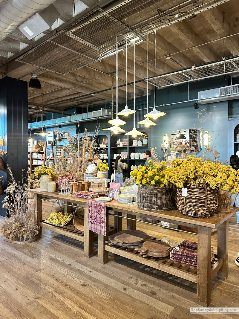 Magnolia (Sunny Side Up)